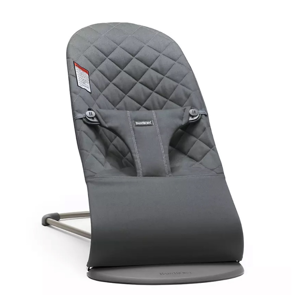 Baby Bjorn bouncer and toybar